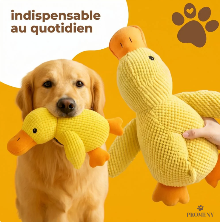 Canard anti-stress